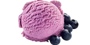 Fruit001 Fruit of the Forest - Gelato(vgn)