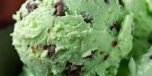 Mint Chocolate Chip - Gelato(vgn)