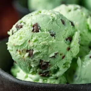 Mint Chocolate Chip - Gelato(vgn)