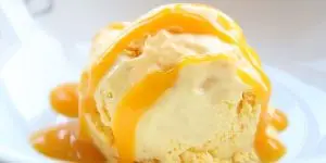 Mango - Special Gelato